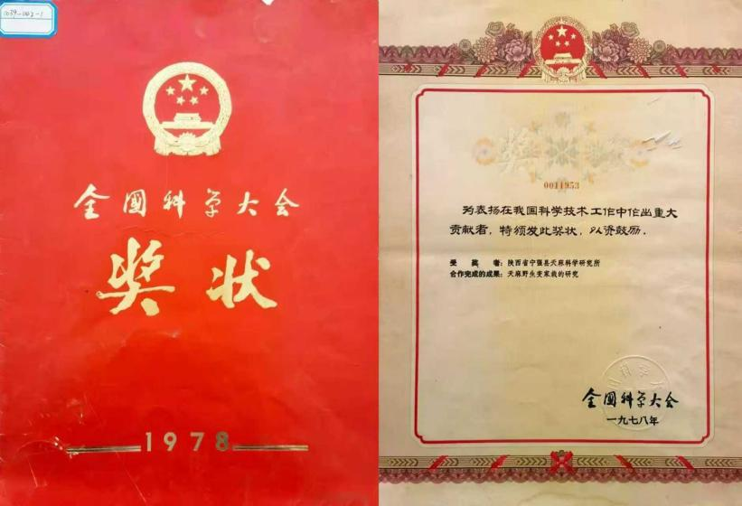 图片10.png