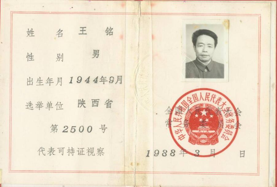 图片11.png